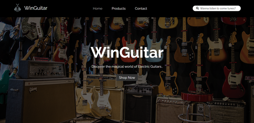 Win Guitar Website 2024